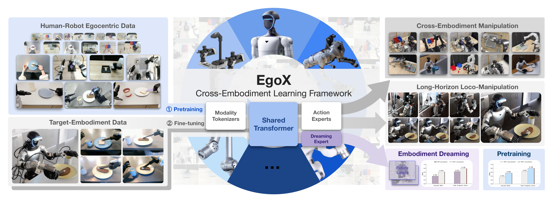 EgoX framework spanning human and robot egocentric data, cross-embodiment pretraining, target-embodiment finetuning, and manipulation tasks